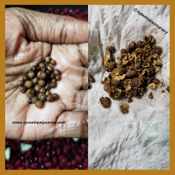 Left Photo: Pimento Seeds  Right Photo: Crushed Pimento Seeds