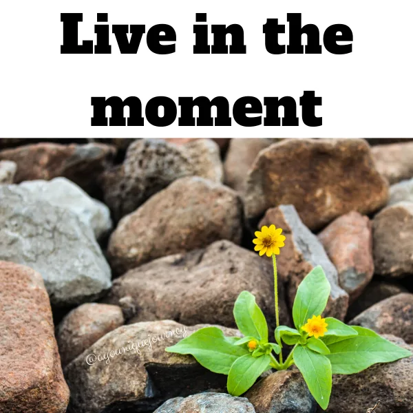 Live in the moment.