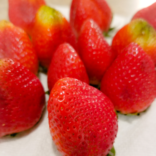 After pat drying each strawberry, leaving them to air dry on a paper towel.