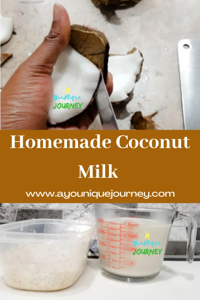 Pinterest Image for Homemade Coconut Milk.